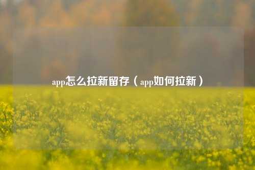 app怎么拉新留存（app如何拉新）