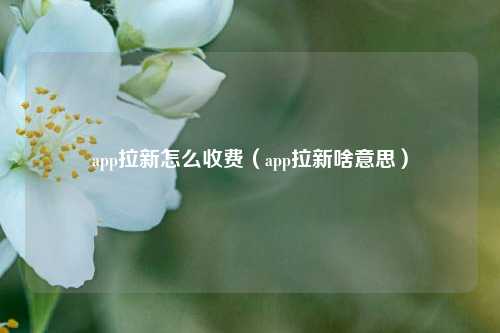 app拉新怎么收费（app拉新啥意思）