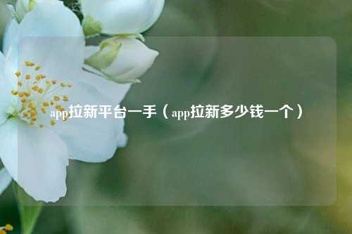 app拉新平台一手（app拉新多少钱一个）