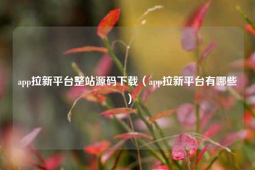 app拉新平台整站源码下载（app拉新平台有哪些）