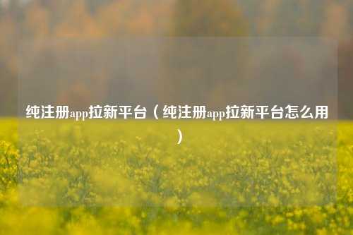 纯注册app拉新平台（纯注册app拉新平台怎么用）