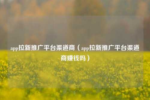 app拉新推广平台渠道商(app拉新推广平台渠道商赚钱吗)
