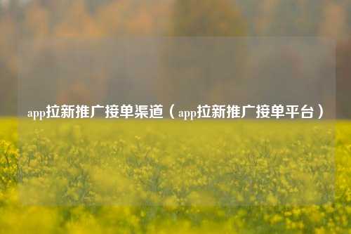 app拉新推广接单渠道(app拉新推广接单平台)