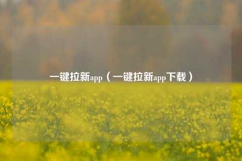 一键拉新app(一键拉新app下载)