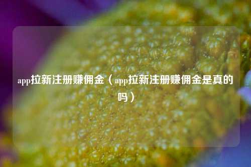 app拉新注册赚佣金（app拉新注册赚佣金是真的吗）
