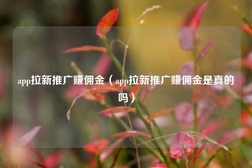 app拉新推广赚佣金（app拉新推广赚佣金是真的吗）