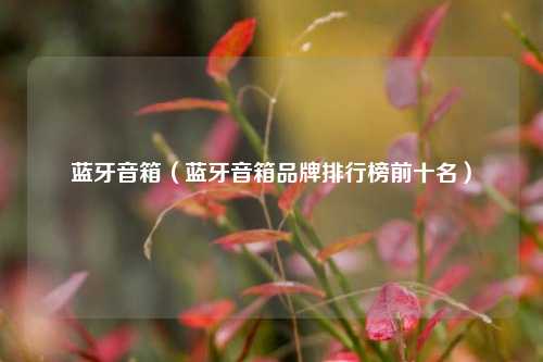 蓝牙音箱(蓝牙音箱品牌排行榜前十名)