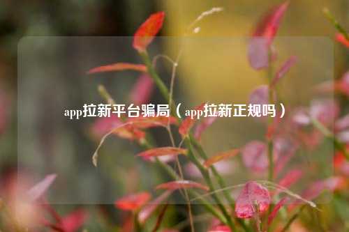 app拉新平台骗局(app拉新正规吗)