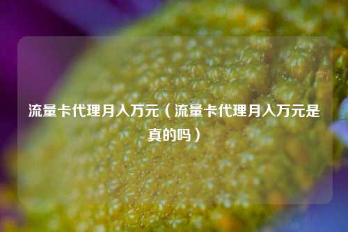 流量卡代理月入万元（流量卡代理月入万元是真的吗）