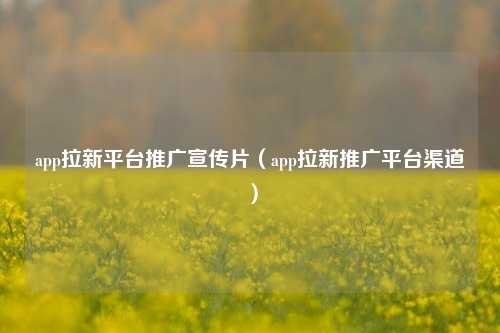 app拉新平台推广宣传片(app拉新推广平台渠道)