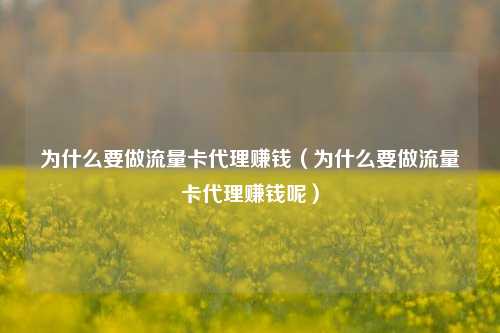 为什么要做流量卡代理赚钱(为什么要做流量卡代理赚钱呢)