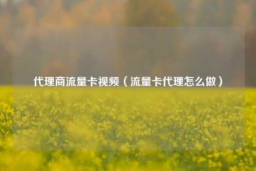 代理商流量卡视频(流量卡代理怎么做)