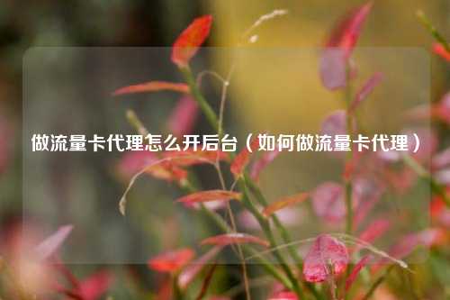 做流量卡代理怎么开后台(如何做流量卡代理)