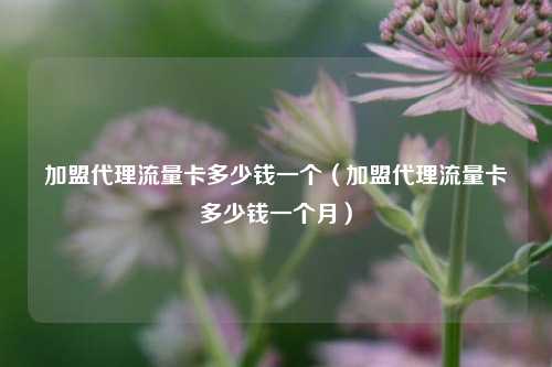 加盟代理流量卡多少钱一个(加盟代理流量卡多少钱一个月)