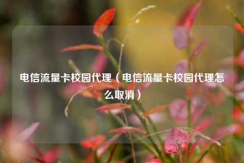 电信流量卡校园代理(电信流量卡校园代理怎么取消)