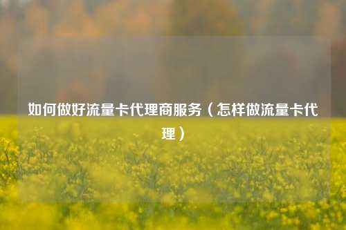 如何做好流量卡代理商服务(怎样做流量卡代理)