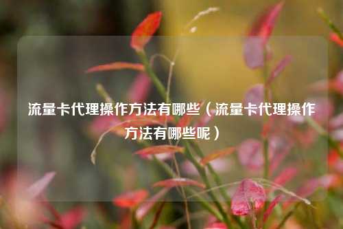 流量卡代理操作方法有哪些(流量卡代理操作方法有哪些呢)