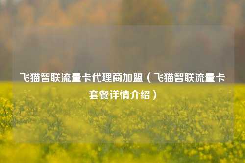 飞猫智联流量卡代理商加盟(飞猫智联流量卡套餐详情介绍)