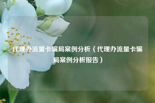 代理办流量卡骗局案例分析（代理办流量卡骗局案例分析报告）