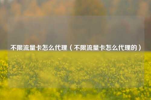 不限流量卡怎么代理(不限流量卡怎么代理的)
