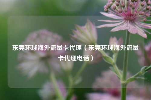 东莞环球海外流量卡代理(东莞环球海外流量卡代理电话)