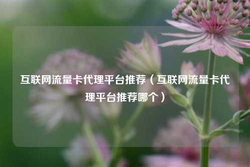 互联网流量卡代理平台推荐(互联网流量卡代理平台推荐哪个)
