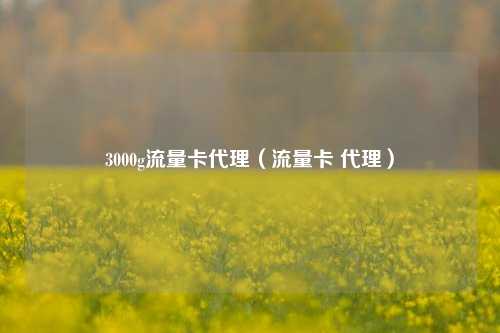 3000g流量卡代理（流量卡 代理）