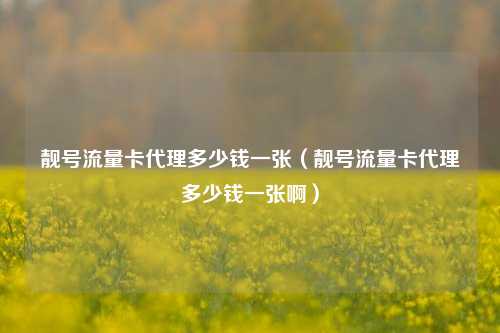 靓号流量卡代理多少钱一张(靓号流量卡代理多少钱一张啊)