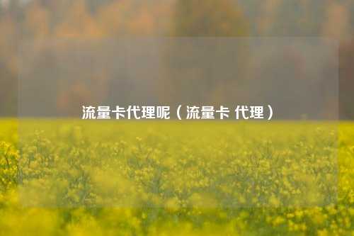 流量卡代理呢(流量卡 代理)
