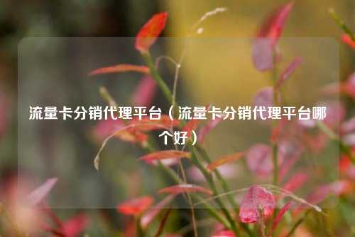 流量卡分销代理平台（流量卡分销代理平台哪个好）