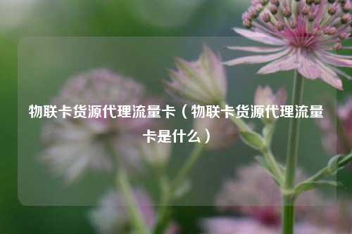 物联卡货源代理流量卡（物联卡货源代理流量卡是什么）