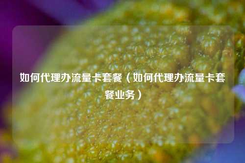 如何代理办流量卡套餐（如何代理办流量卡套餐业务）
