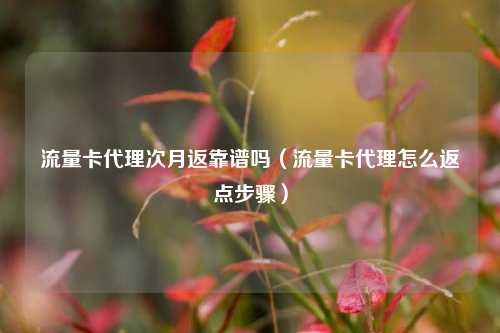 流量卡代理次月返靠谱吗(流量卡代理怎么返点步骤)