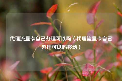代理流量卡自己办理可以吗(代理流量卡自己办理可以吗移动)