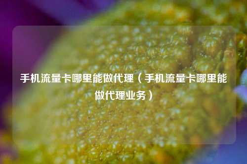 手机流量卡哪里能做代理（手机流量卡哪里能做代理业务）