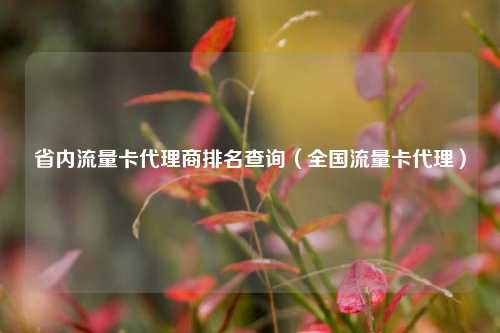 省内流量卡代理商排名查询(全国流量卡代理)