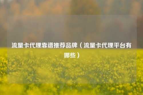 流量卡代理靠谱推荐品牌（流量卡代理平台有哪些）
