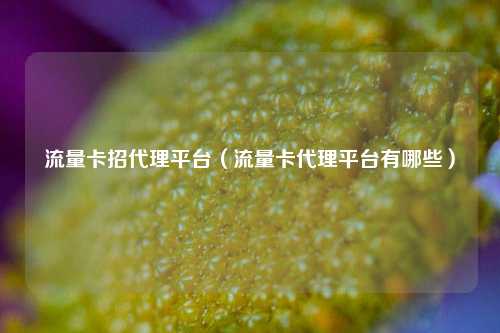 流量卡招代理平台（流量卡代理平台有哪些）
