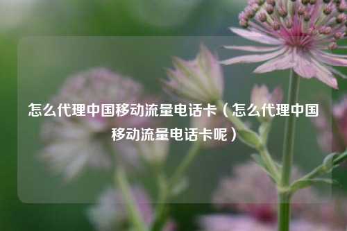 怎么代理中国移动流量电话卡(怎么代理中国移动流量电话卡呢)