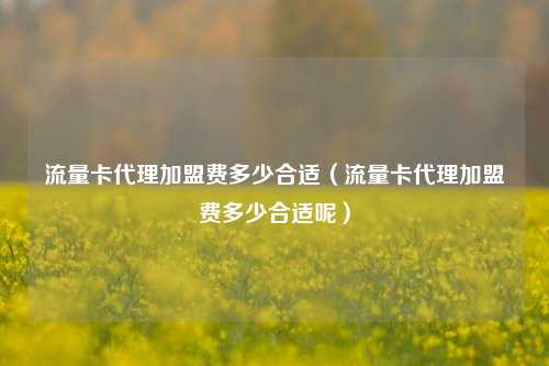 流量卡代理加盟费多少合适(流量卡代理加盟费多少合适呢)