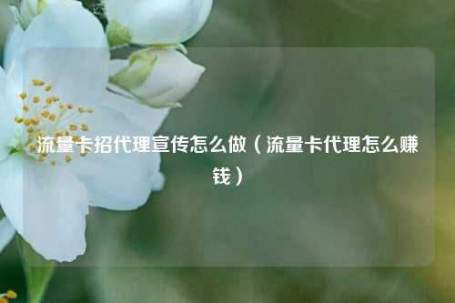 流量卡招代理宣传怎么做(流量卡代理怎么赚钱)