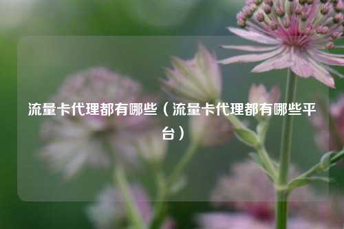 流量卡代理都有哪些（流量卡代理都有哪些平台）