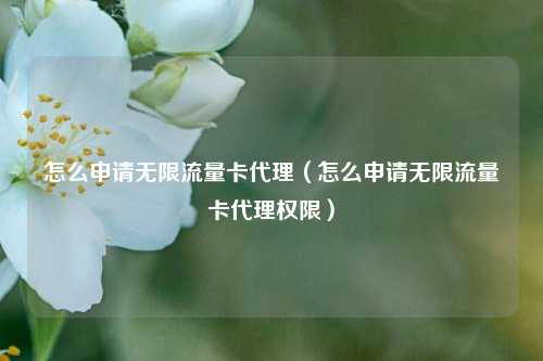 怎么申请无限流量卡代理(怎么申请无限流量卡代理权限)