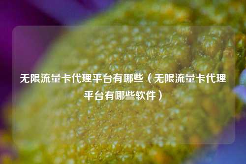 无限流量卡代理平台有哪些(无限流量卡代理平台有哪些软件)