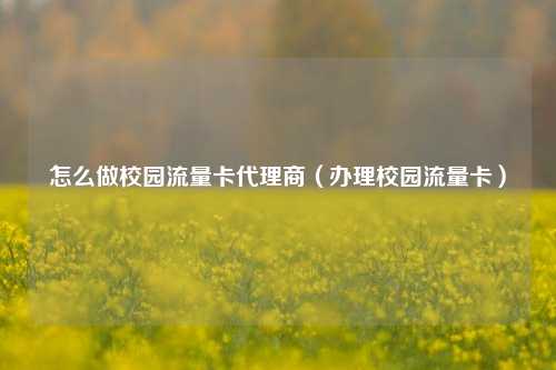 怎么做校园流量卡代理商（办理校园流量卡）