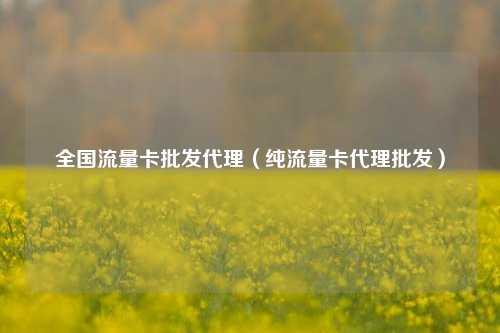 全国流量卡批发代理（纯流量卡代理批发）