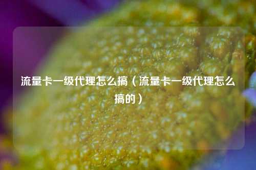 流量卡一级代理怎么搞(流量卡一级代理怎么搞的)