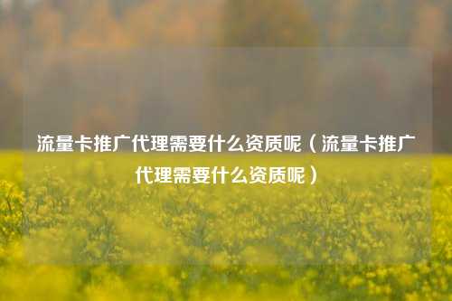 流量卡推广代理需要什么资质呢(流量卡推广代理需要什么资质呢)