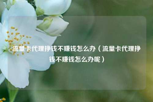 流量卡代理挣钱不赚钱怎么办（流量卡代理挣钱不赚钱怎么办呢）