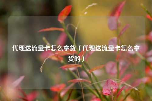 代理送流量卡怎么拿货(代理送流量卡怎么拿货的)